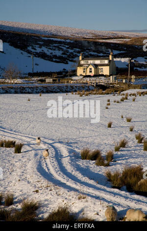 Ferienhaus im Schnee bedeckt Tal, Glen Whilly, neue Luce, Dumfires und Galloway Stockfoto