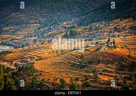 Bauernhöfe und Reisfelder interpunktieren Punakha Tal.  Bhutan. Stockfoto