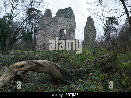 Odiham Schloß (auch lokal als King John Castle bekannt) ist eine Burgruine in der Nähe Odiham in Hampshire Stockfoto