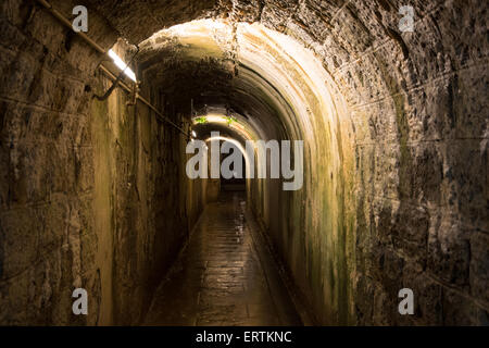 Passage im Fort de Douaumont, Verdun Stockfoto