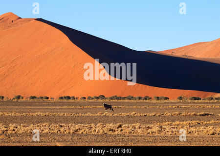 Roten Dünen auf dem Weg zum Sossusvlei, Namibia Stockfoto