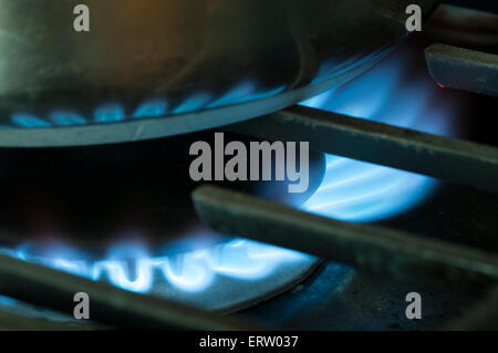 Erdgas zum Heizen und Kochen; Bild ist eine Nahaufnahme von einem hellen blauen Flamme mit Gas zu heizen oder Kochen auf einer Reihe oben in einem Wohngebiet Küche Stockfoto