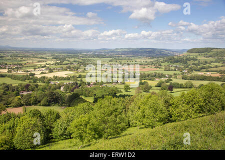 Frühling auf Cam Long Down und der Cotswold Weg in der Nähe von Uley, Gloucestershire, England, UK Stockfoto