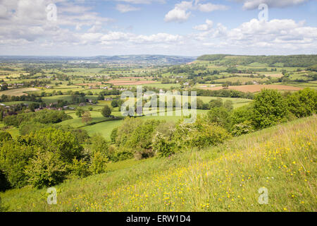 Frühling auf Cam Long Down und der Cotswold Weg in der Nähe von Uley, Gloucestershire, England, UK Stockfoto