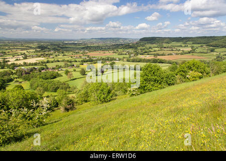 Frühling auf Cam Long Down und der Cotswold Weg in der Nähe von Uley, Gloucestershire, England, UK Stockfoto