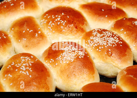 Hintergrund von hausgemachten Brötchen mit Mohn Stockfoto