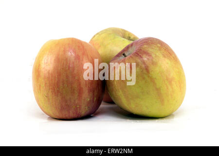 Trio von Fuji-Äpfel Stockfoto