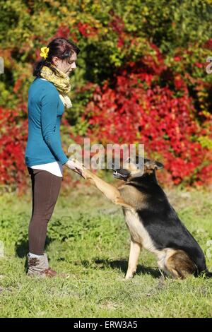 Frau mit Hirte Stockfoto