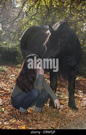 Frau und friesische Pferd Stockfoto