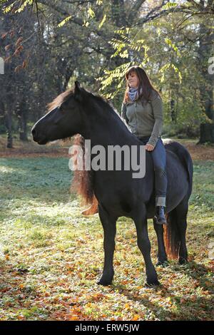 Frau reitet auf Friesisch Pferd Stockfoto