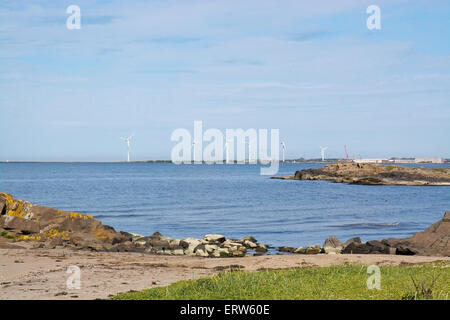 FALKENBERG, Schweden - 5. Juni 2015: Windenergieanlagen und natürliche Heide am 5. Juni in Falkenberg, Schweden. Stockfoto