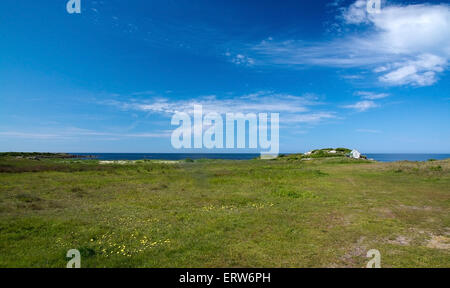 FALKENBERG, Schweden - 5. Juni 2015: Blühende Heide und Fischerhaus am Meer am 5. Juni in Falkenberg, Schweden. Stockfoto