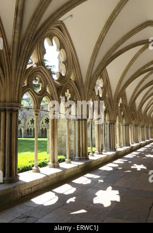 Salisbury, Wiltshire, UK. 7. Juni 2015. Sommersonne am historischen Kathedrale von Salisbury, Salisbury, Wiltshire auf Sonntag, 7. Juni 2015 Credit: KEITH MAYHEW/Alamy Live News Stockfoto