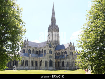 Salisbury, Wiltshire, UK. 7. Juni 2015. Sommersonne am historischen Kathedrale von Salisbury, Salisbury, Wiltshire auf Sonntag, 7. Juni 2015 Credit: KEITH MAYHEW/Alamy Live News Stockfoto