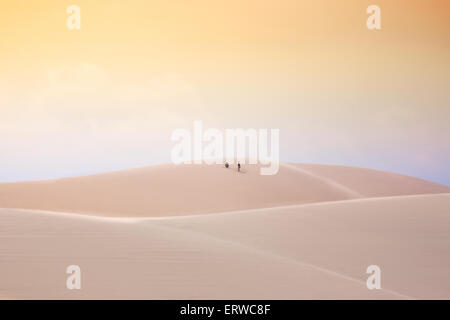 In der Wüste, weißen Sanddünen, Mui Ne, Vietnam Stockfoto