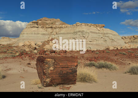 Ein Foto von einigen versteinertes Holz im Petrified Forest National Park. Stockfoto