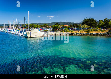 Boote im Hafen gesehen von der Fishermans Wharf in Monterey, Kalifornien. Stockfoto