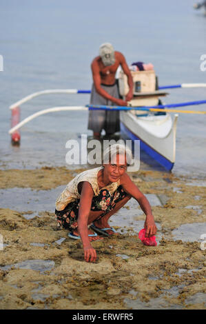 Ältere Filipina sammeln von Meeresfrüchten auf Küstenlinie am Panagsama Beach Moalboal Cebu Provinz Philippinen Stockfoto