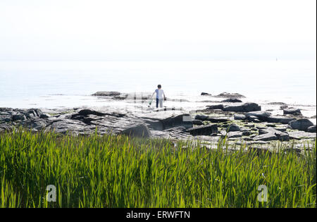 FALKENBERG, Schweden - 6. Juni 2015: Junge Crabfishing mit Netz am Strand am 6. Juni 2015 in Skrea, Falkenberg, Schweden. Stockfoto