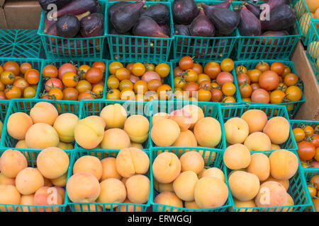 Körbe mit Cherry-Tomaten, Feigen und Aprikosen am Ferry Building Wochenmarkt in San Francisco, Kalifornien, USA Stockfoto