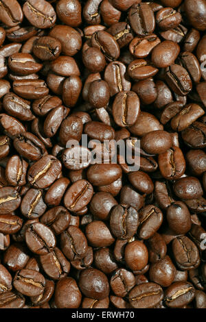 Kaffee Bohnen Stockfoto