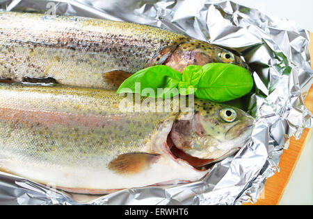 Zwei frische Forelle auf Alufolie Stockfoto