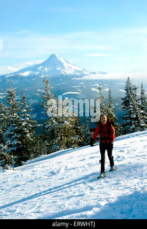Eine 45 Jahre alte Frau Wandern Mount Defiant im Winter mit Mt. Hood in den Boden zurück. Stockfoto