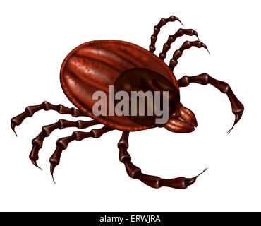 Tick Insekt hautnah Abbildung isoliert auf einem weißen Hintergrund als Symbol für ein Parasit Arachnid, die saugt Blut und Tiere mit Bakterien und Viren mit möglichen Krankheiten wie Lyme-Borreliose und Fieber infiziert. Stockfoto