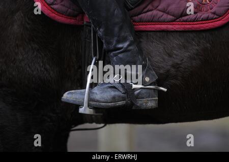 Eisen-Steigbügel Stockfoto