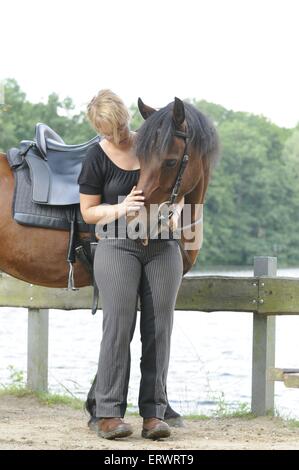 Frau und Welsh-Cob Stockfoto