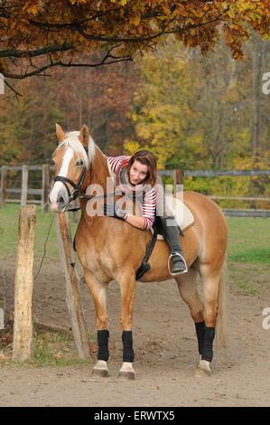 Frau reitet auf Haflinger-Pferd Stockfoto