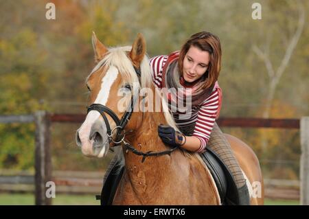 Frau reitet auf Haflinger-Pferd Stockfoto