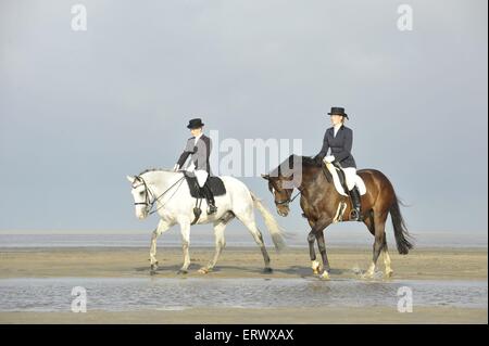 Frau reitet Pferde Stockfoto