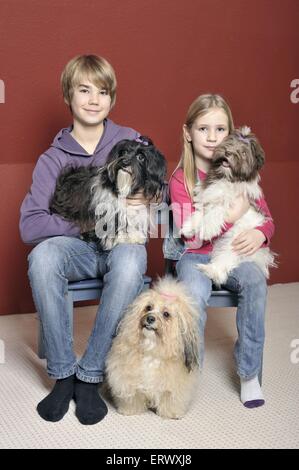 Kinder mit Havaneser Stockfoto