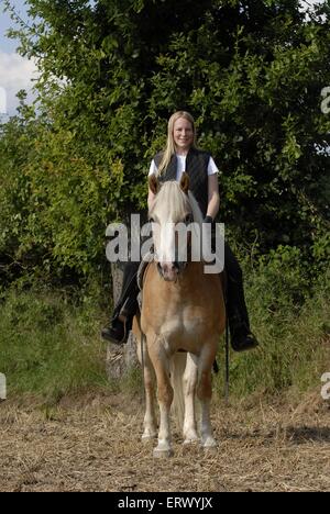 Frau reitet auf Haflinger-Pferd Stockfoto