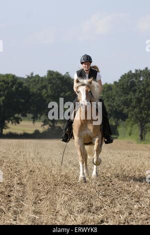 Frau reitet auf Haflinger-Pferd Stockfoto