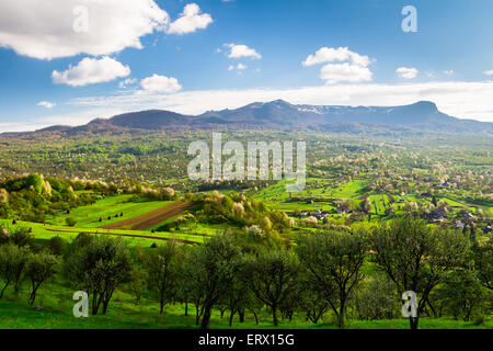 Landschaft in Maramures, Rumänien. Grüne Weiden mit Baumbestand, ein Dorf und ein Berg im Hintergrund Stockfoto