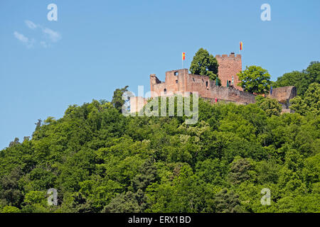 Burg Ruine Landeck, Klingenmünster, Deutsche Weinstraße und Südliche Weinstraße, Pfalz, Rheinland-Pfalz, Deutschland Stockfoto