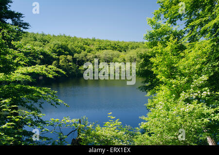 LAke Herthasee, Nationalpark Jasmund, UNESCO World Heritage Site, Rügen, Mecklenburg-Vorpommern Pommern, Deutschland Stockfoto