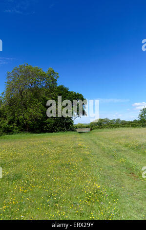 Iolo Morganwg Wanderweg, Wanderweg rund um die Stadt von Cowbridge, Vale of Glamorgan, South Wales, UK. Stockfoto