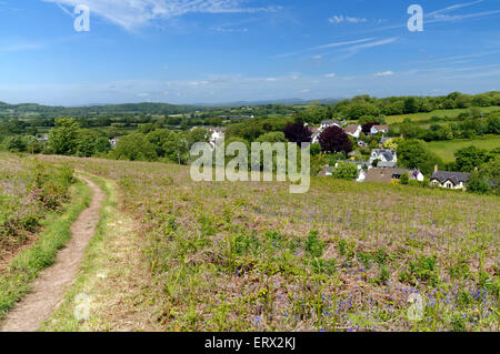 Aberthin, Iolo Morganwg Wanderweg, Wanderweg rund um die Stadt von Cowbridge, Vale of Glamorgan, South Wales, UK. Stockfoto