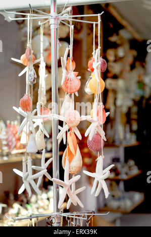 Sammlung von verschiedenen bunten Muscheln und Seesterne gebunden einander durch String ornament Stockfoto