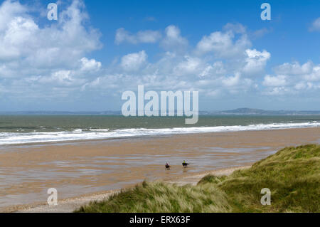 Zwei Pferde und Reiter am Qualitätsorientierung Sandstrand in der Nähe von Porthcawl, South Wales, UK. Stockfoto