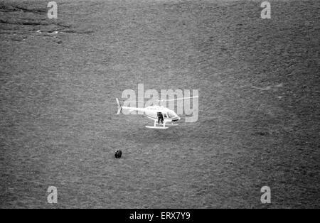 Hercules der Bär, aufgespürt und auf die Abfälle Moorlandschaften von North Uist, in den äußeren Hebriden in Schottland aufgenommen. 14. September 1980. Der Bär wurde mit dem Hubschrauber gejagt. Hercules ist seit 3 Wochen in der Wildnis. Stockfoto