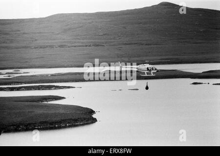 Hercules der Bär, aufgespürt und auf die Abfälle Moorlandschaften von North Uist, in den äußeren Hebriden in Schottland aufgenommen. 14. September 1980. Der Bär wurde mit dem Hubschrauber gejagt. Herkules war seit 3 Wochen in der Wildnis. Im Bild, Herkules nach Hause geflogen. Stockfoto