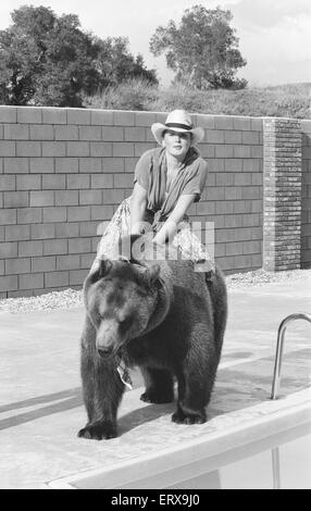 Hercules der Grizzlybär mit Besitzer Andy & Maggie Robin, auf seine neue Heimat in Kalifornien, USA, 10. Februar 1983. Die Verbindung ist in Newhall, 40 Meilen von Los Angeles.  Im Bild. Maggie nimmt eine Fahrt auf Hercules. Stockfoto