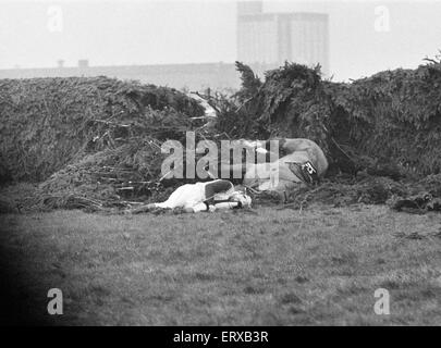 Jockey Paddy Farrell wird von seinem Pferd Grenze Flug am 15. Zaun von der Grand National in Aintree ausgelöst.  Farrell brach den Rücken bei dem Unfall und war an den Rollstuhl gefesselt. 21. März 1964. Stockfoto