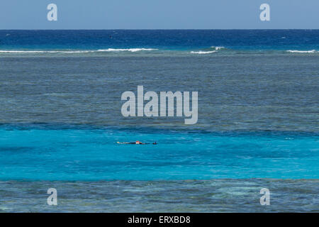 Bei Lady Musgrave Island Stockfoto
