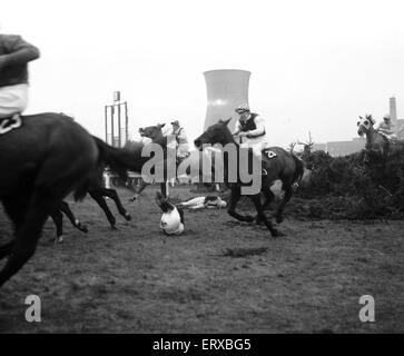 Jockey Paddy Farrell wird von seinem Pferd Grenze Flug am 15. Zaun von der Grand National in Aintree ausgelöst.  Farrell brach den Rücken bei dem Unfall und war an den Rollstuhl gefesselt.  21. März 1964. Stockfoto