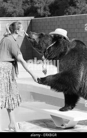 Hercules der Grizzlybär mit Besitzer Andy & Maggie Robin, auf seine neue Heimat in Kalifornien, USA, 10. Februar 1983. Die Verbindung ist in Newhall, 40 Meilen von Los Angeles. Im Bild. Hercules, Cowboy-Hut und schottische Krawatte tragen. Stockfoto